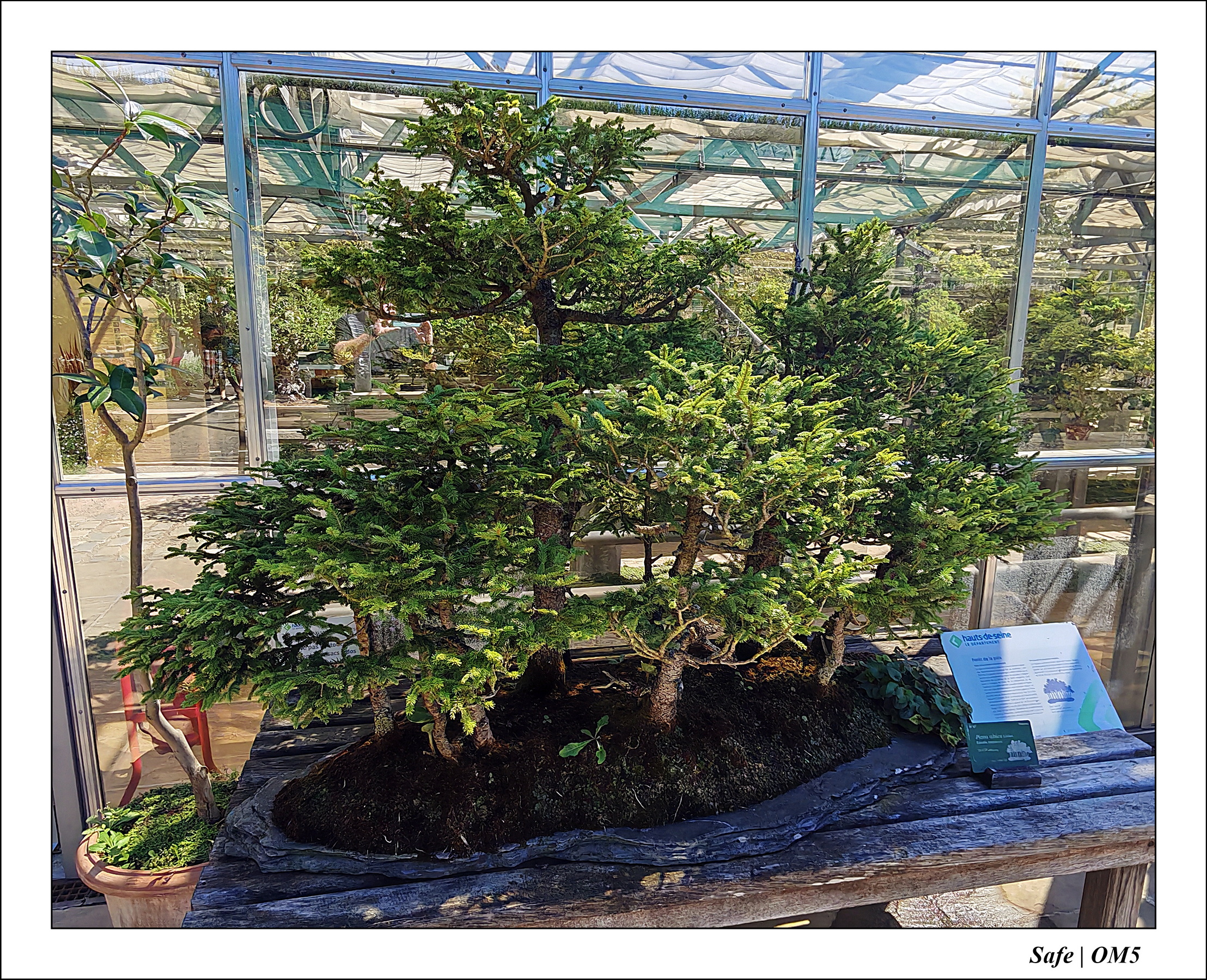 2025 - 08 - Vallée des loups - 02